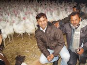 Indische Landwirte auf einer landwirtschaftlichen Einrichtung