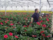 ReiseService VOGT – experts of agricultural group tours. ReiseService VOGT – experts of agricultural group tours.
