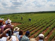 ReiseService VOGT – experts of agricultural group tours. ReiseService VOGT – experts of agricultural group tours.