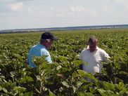 ReiseService VOGT – experts of agricultural group tours. ReiseService VOGT – experts of agricultural group tours.