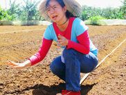 ReiseService VOGT – experts of agricultural group tours. ReiseService VOGT – experts of agricultural group tours.