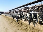 ReiseService VOGT – experts of agricultural group tours. ReiseService VOGT – experts of agricultural group tours.
