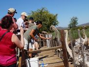 ReiseService VOGT – experts of agricultural group tours. ReiseService VOGT – experts of agricultural group tours.