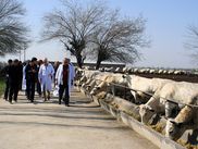ReiseService VOGT – experts of agricultural group tours. ReiseService VOGT – experts of agricultural group tours.