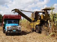 ReiseService VOGT – experts of agricultural group tours. ReiseService VOGT – experts of agricultural group tours.