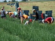 ReiseService VOGT – experts of agricultural group tours. ReiseService VOGT – experts of agricultural group tours.